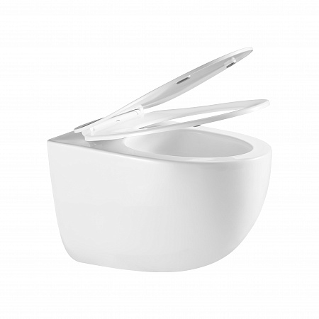 Подвесной унитаз безободковый Terminus Енисей Monolit 560х390 белый Новокузнецк - фото 7 Подвесной унитаз безободковый Terminus Енисей Monolit 560х390 белый Новокузнецк - фото 7