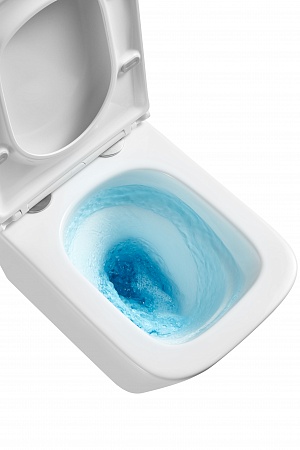 Подвесной унитаз безободковый Terminus Ватикан Monolit 490х340 белый Новокузнецк - фото 8 Подвесной унитаз безободковый Terminus Ватикан Monolit 490х340 белый Новокузнецк - фото 8