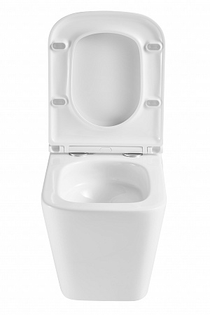 Подвесной унитаз безободковый Terminus Ватикан Monolit 490х340 белый Новокузнецк - фото 7 Подвесной унитаз безободковый Terminus Ватикан Monolit 490х340 белый Новокузнецк - фото 7