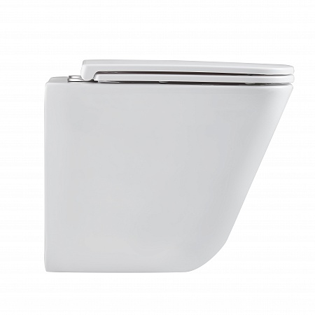 Подвесной унитаз безободковый Terminus Ватикан Monolit 490х340 белый Новокузнецк - фото 4 Подвесной унитаз безободковый Terminus Ватикан Monolit 490х340 белый Новокузнецк - фото 4