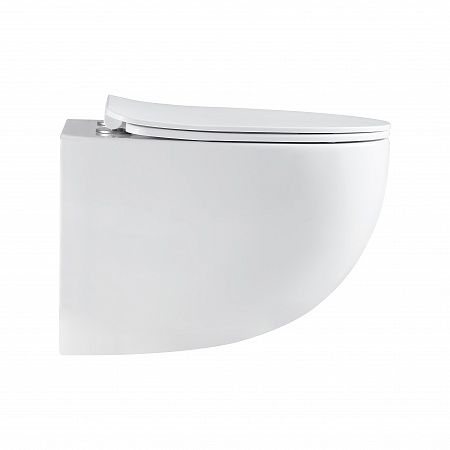 Подвесной унитаз безободковый Terminus Енисей Monolit 560х390 белый Новокузнецк - фото 4 Подвесной унитаз безободковый Terminus Енисей Monolit 560х390 белый Новокузнецк - фото 4