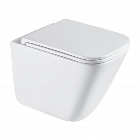 Подвесной унитаз безободковый Terminus Ватикан Monolit 490х340 белый Новокузнецк - фото 2 Подвесной унитаз безободковый Terminus Ватикан Monolit 490х340 белый Новокузнецк - фото 2