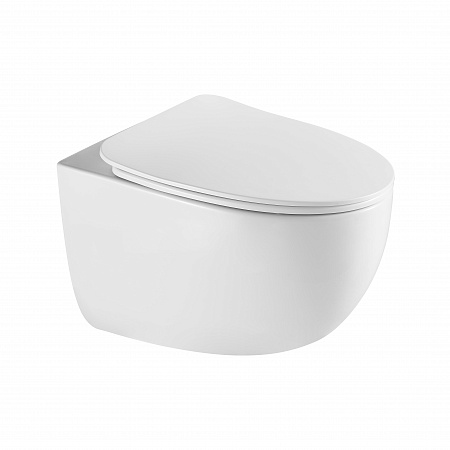 Подвесной унитаз безободковый Terminus Енисей Monolit 560х390 белый Новокузнецк - фото 2 Подвесной унитаз безободковый Terminus Енисей Monolit 560х390 белый Новокузнецк - фото 2