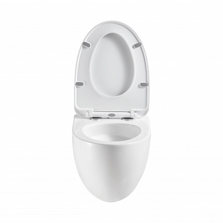 Подвесной унитаз безободковый Terminus Енисей Monolit 560х390 белый Новокузнецк - фото 5 Подвесной унитаз безободковый Terminus Енисей Monolit 560х390 белый Новокузнецк - фото 5