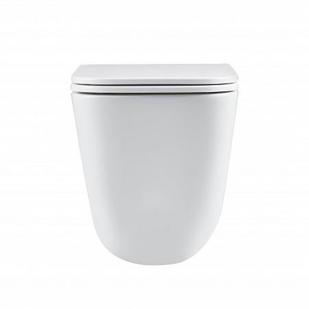 Подвесной унитаз безободковый Terminus Ватикан Monolit 490х340 белый Новокузнецк - фото 6 Подвесной унитаз безободковый Terminus Ватикан Monolit 490х340 белый Новокузнецк - фото 6