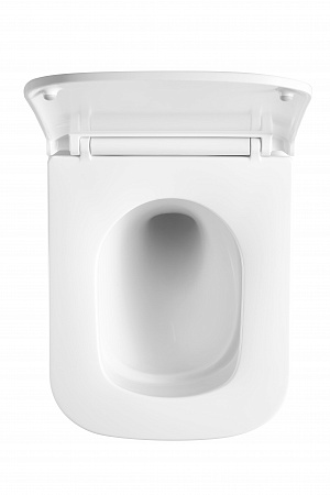 Подвесной унитаз безободковый Terminus Ватикан Monolit 490х340 белый Новокузнецк - фото 3 Подвесной унитаз безободковый Terminus Ватикан Monolit 490х340 белый Новокузнецк - фото 3